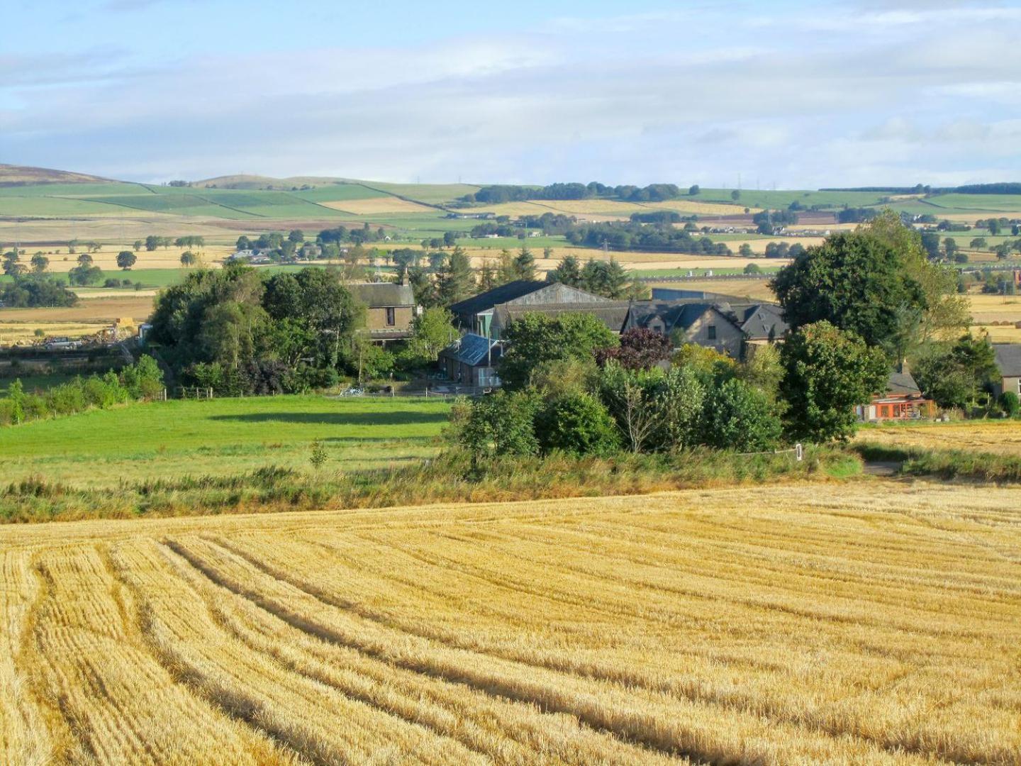 Appletree Cottage Kirkton of Tealing 외부 사진
